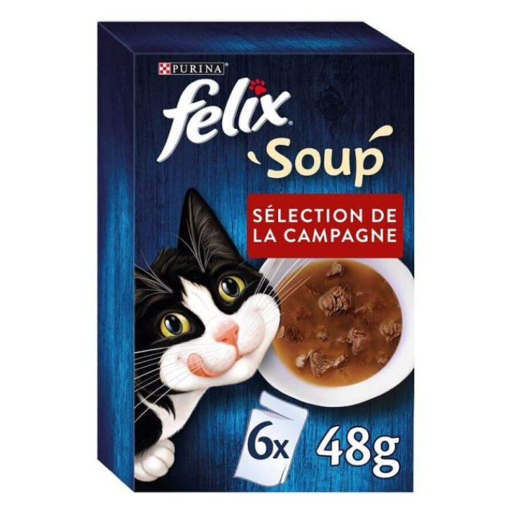 FELIX-SUPPE RINDFLEISCH 48G