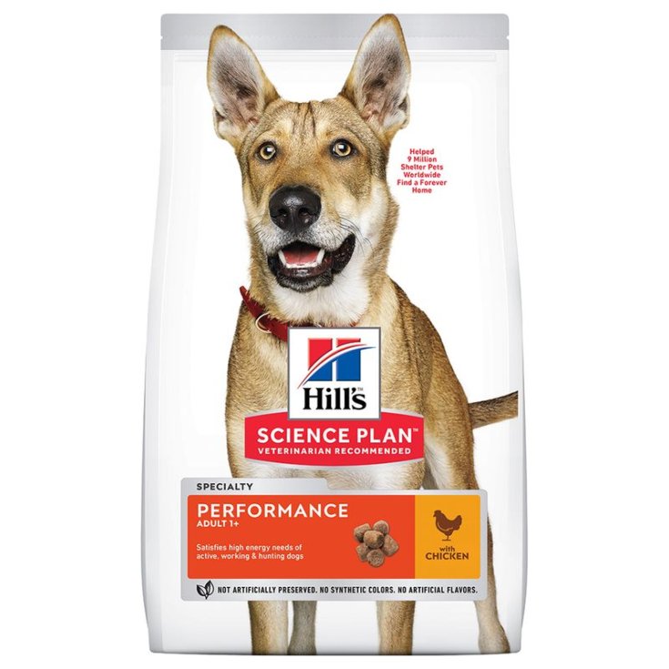 ONCARE HUHN FÜR ERWACHSENE HUNDE 10 KG