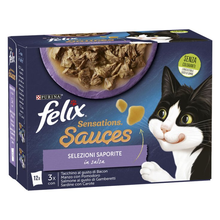 FELIX SENSAT SAUCEN SEL FLAVOR