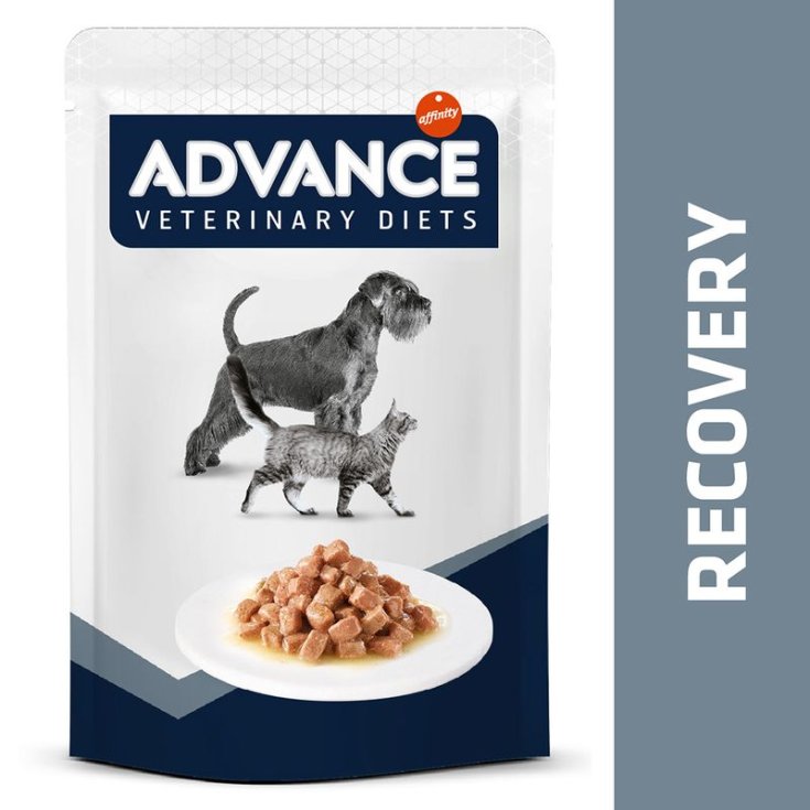 ADVANCE DOG&CAT BST RECOVERY 100 GR