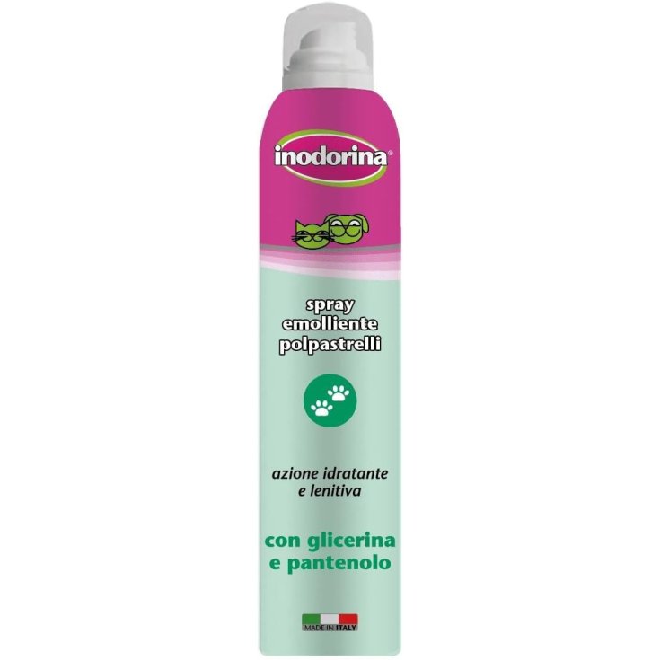 INODORINA SPRAY FINISHES 200ML