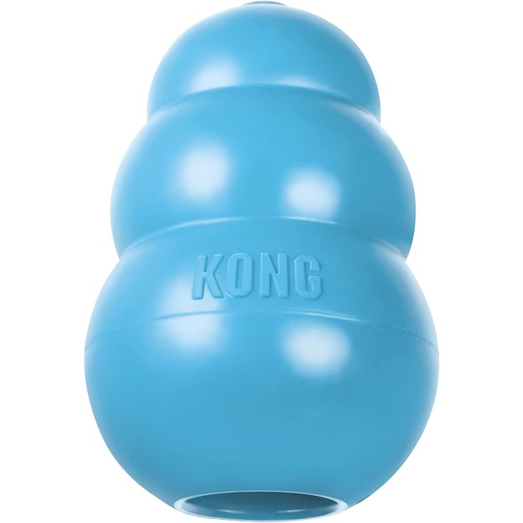 KONG WELPE KLEIN