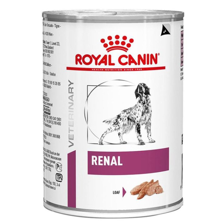VHN WET DOG RENAL 12X100G