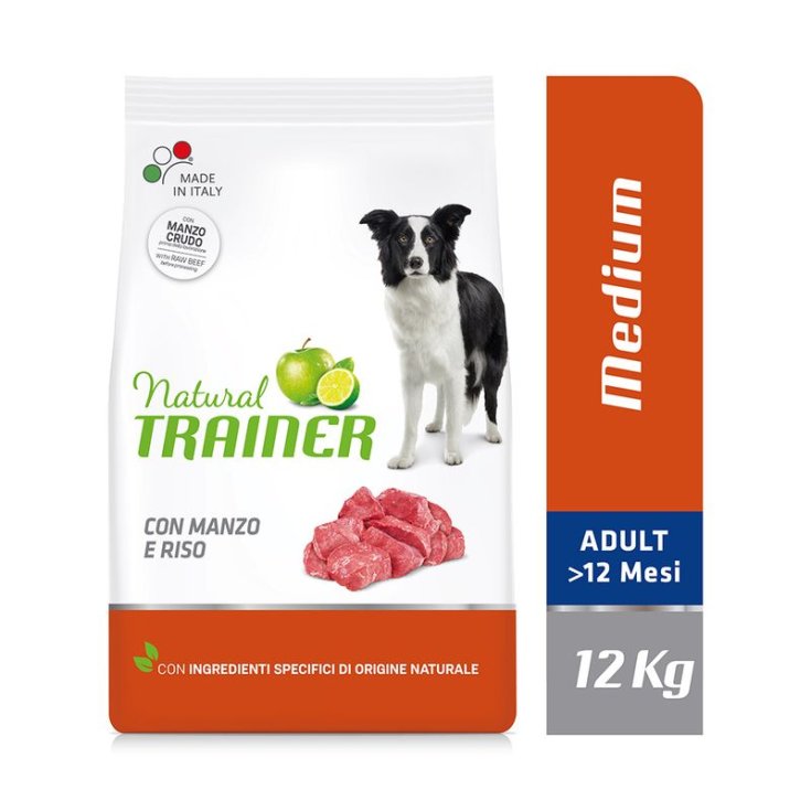 TRAINER NAT M/M ERWACHSENE RIND/RI