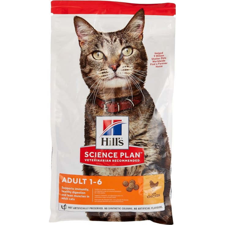 ERWACHSENE FELINE PERF. DIG. HUHN 12X85 GR