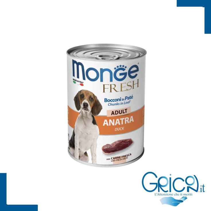 MONGE-KIT 1-12M ENTE 400G