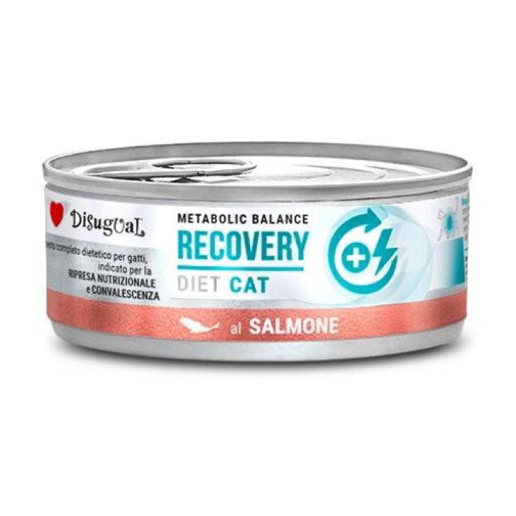 DISUGUAL CAT RECOVERY LACHS 85G