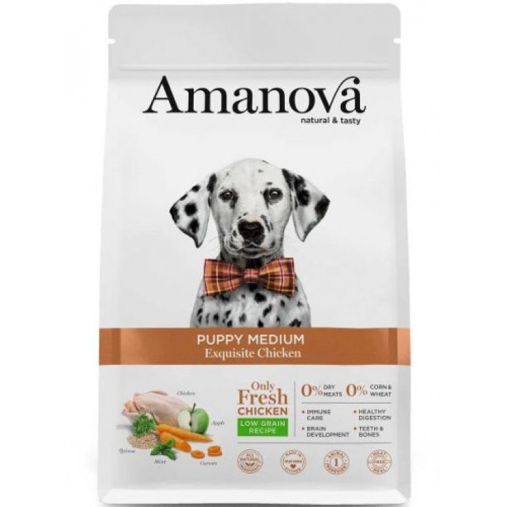 AMANOVA PUPPY MEDIUM EXQUISITE HUHN