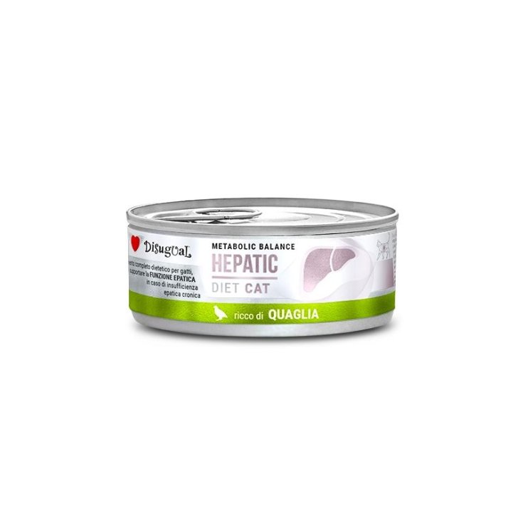 DISUGUAL CAT HEPATIC ACHTEL 85G