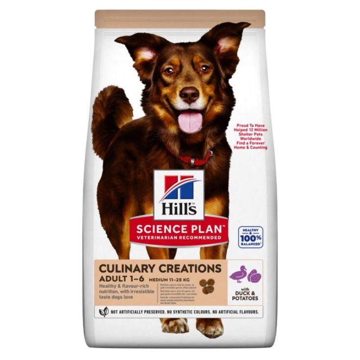 ERWACHSENE HUNDE MED ENTE & KARTOFFELN 2,5 KG