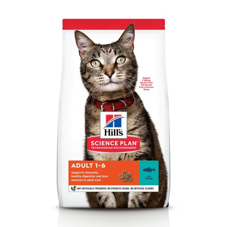 ERWACHSENER KATZEN-THUNFISCH 7 KG