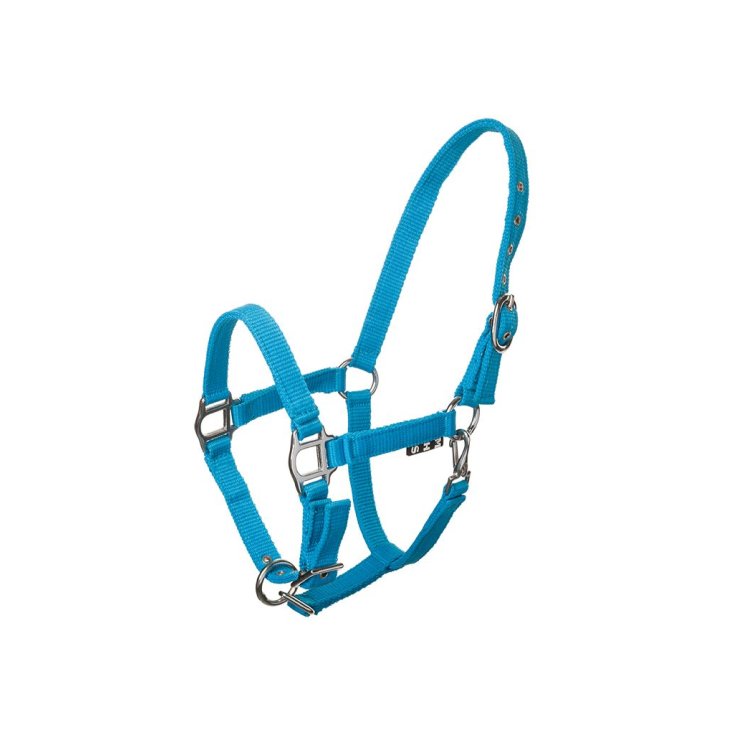 HALFTER NYLON HIPPO BLAU