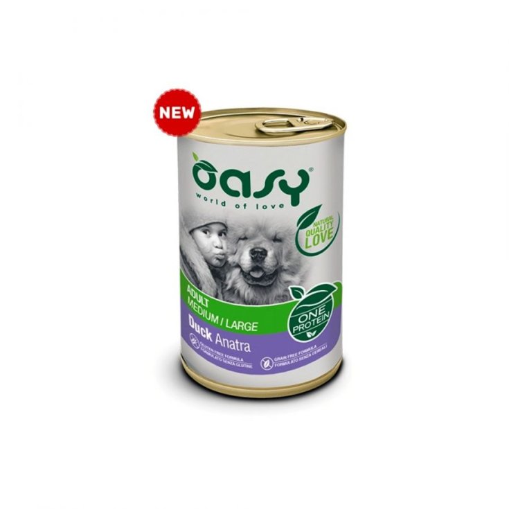 OASY WET DOG – ERWACHSENE ALLE B-ENTE 400 G
