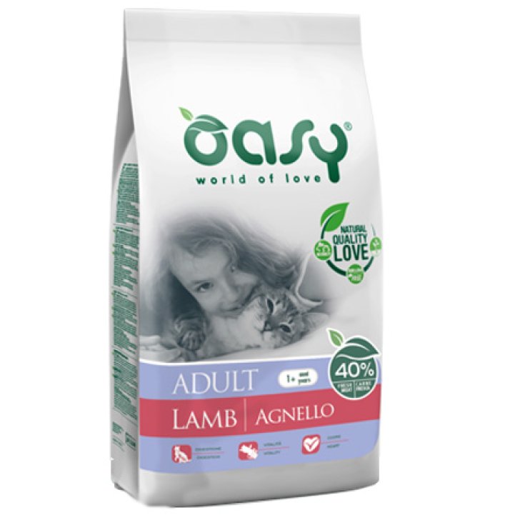 OASY DRY CAT MIT LAMM 300G