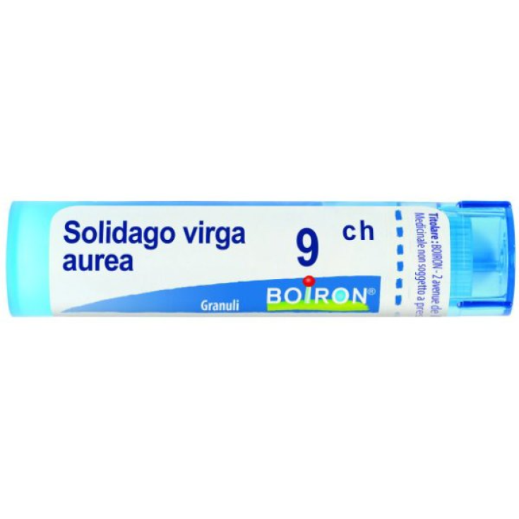 Boiron Solidago Virga Aurea 9ch Granulat Homöopathisches Mittel