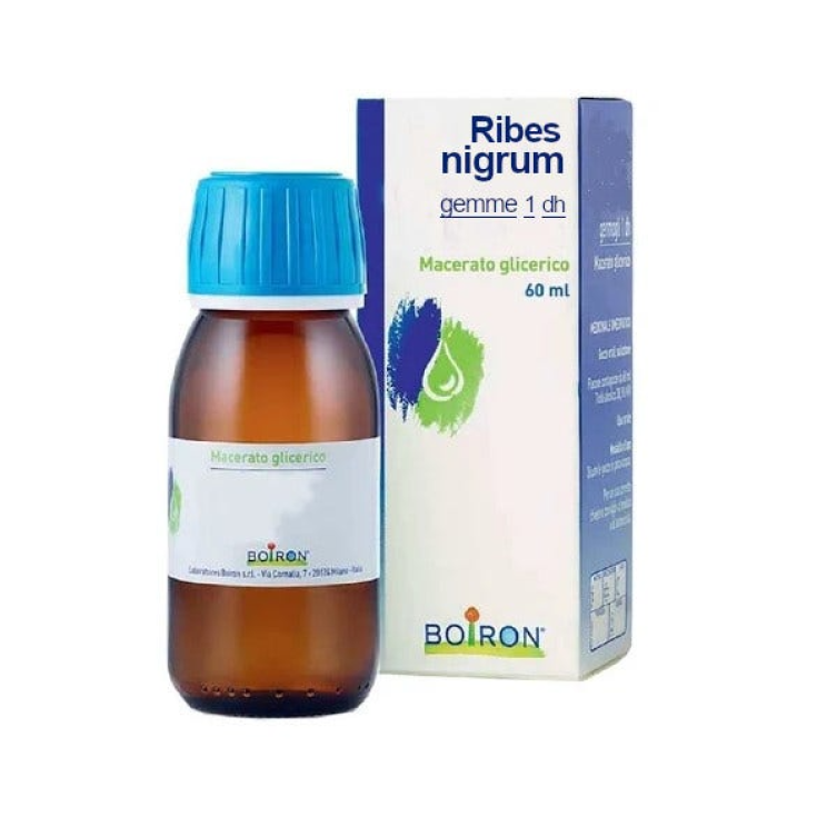 Boiron Ribes Nigrum Glycerinmazerat Edelsteine 60ml