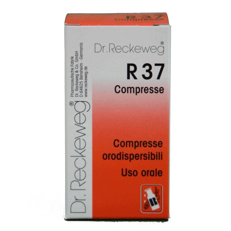 R37 Dr. Reckeweg 100 Tabletten 0,1g