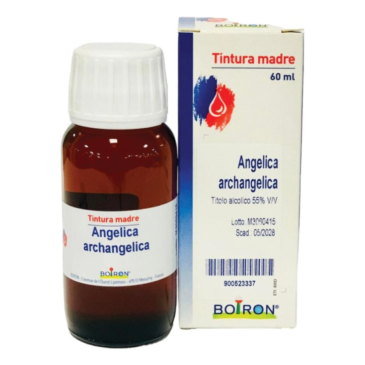 Boiron Angelica Arcangelica Urtinktur 60ml