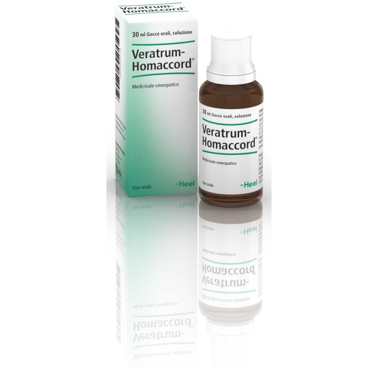 Veratrum Homaccord Fersentropfen 30ml