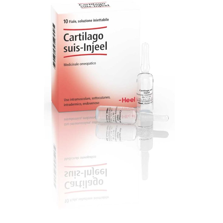 Cartilago Suis-Injeel Heel 10 Fläschchen mit 1,1 ml