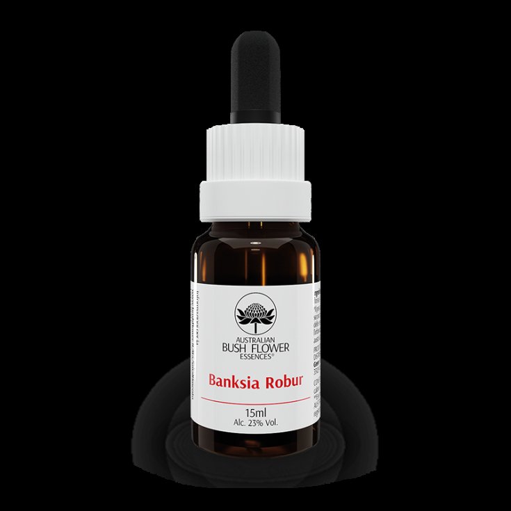 Australische Blumen Banksia Robur Drops 15ml