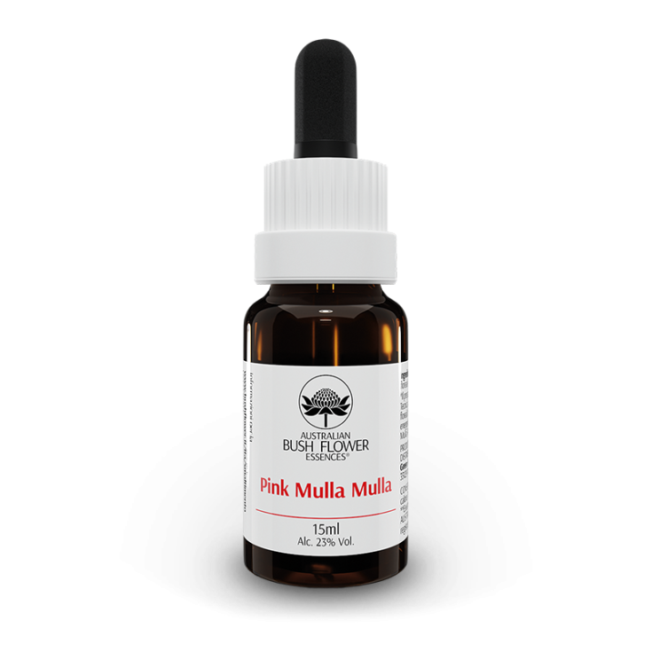 Australische Blumen Pink Mulla Mulla Drops 15ml