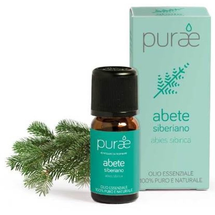 Purae Oe Tanne Sib Blatt 10ml