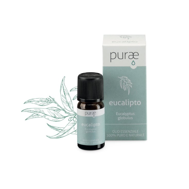 Purae Oe Eukalyptusblätter 10ml