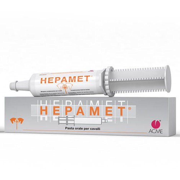 HEPAMET® Paste ACME® 5 Spritzen von 100g