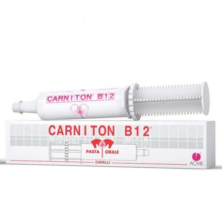 Carniton B12 Paste ACME® 1 Spritze mit 100 g