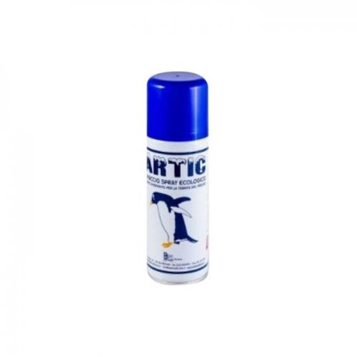 Artic Gh Istant Spr 200ml