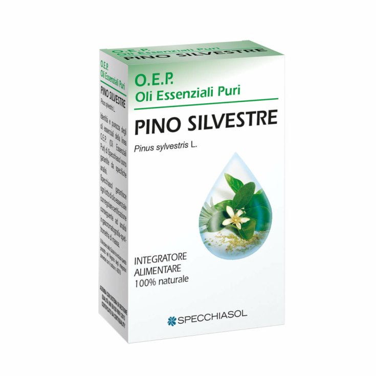 Specchiasol OEP Pino Silvestre reines ätherisches Öl 10ml