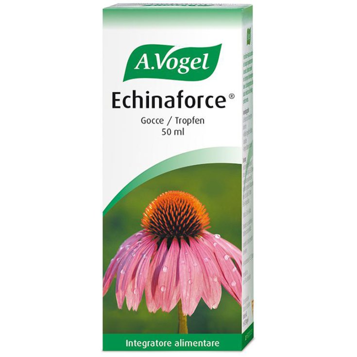 Echinaforce Tropfen 50ml Vogel