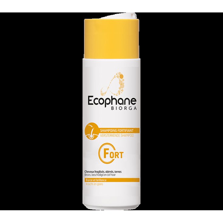Ecophane Sh Stärkung 200ml