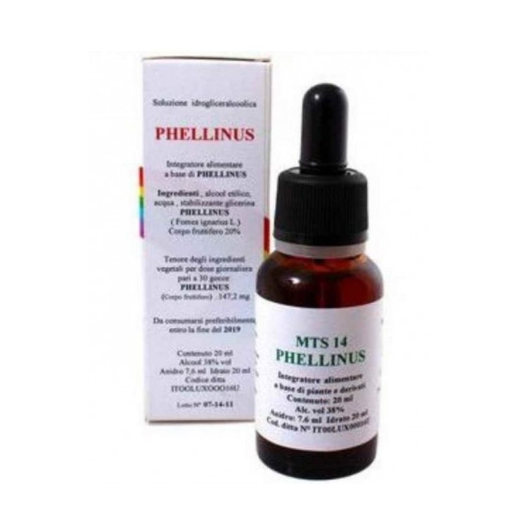 Mts14 Phellinus Tropfen 20ml