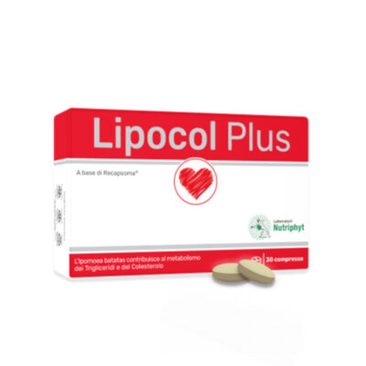 Lipocol Plus Nahrungsergänzungsmittel 30 Tabletten