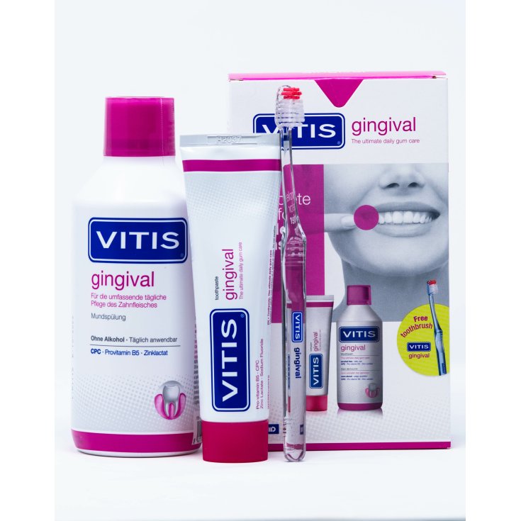 Vitis Kit Gingival15ml + 30ml + sp