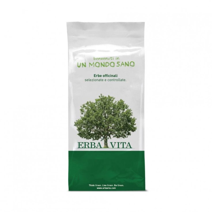 ErbaVita Tisane The Bancha Toasted Antioxidant Action 100g