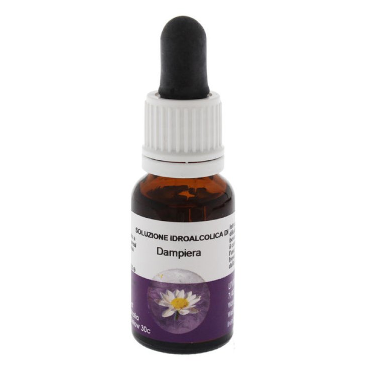 Natur Dampiera Australische Essenz 15ml