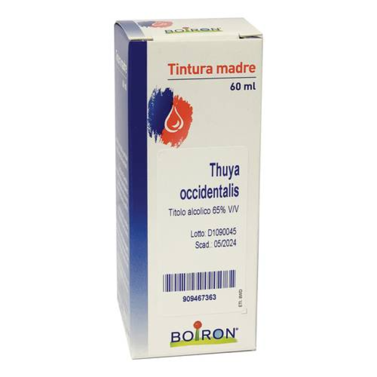 Cemon Thuya Occidentalis 60ml Urtinktur