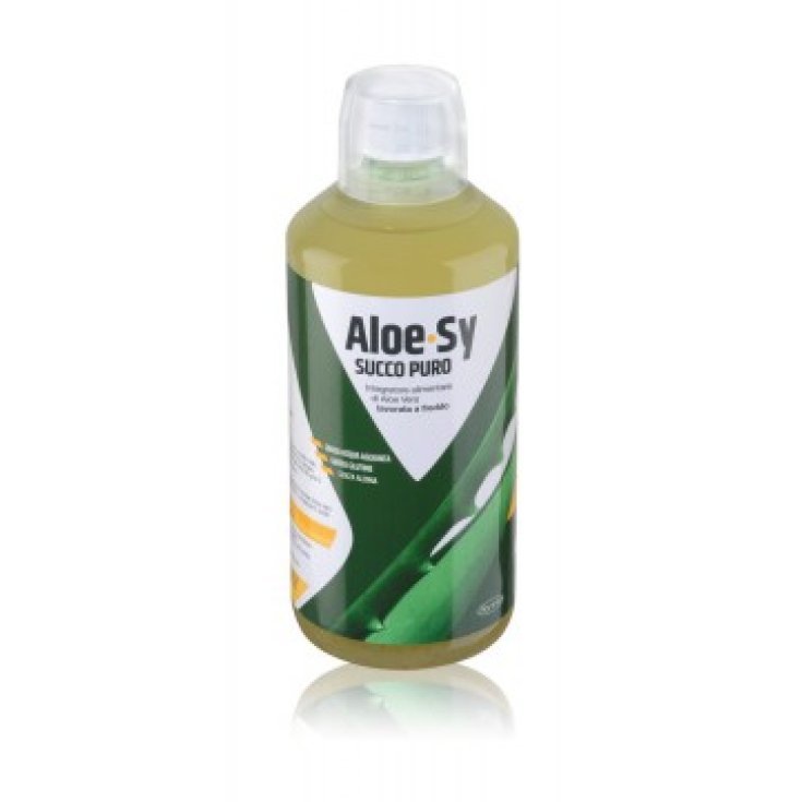 Aloe-Sy Reiner Saft Aloe Geschmack Frucht 1000ml