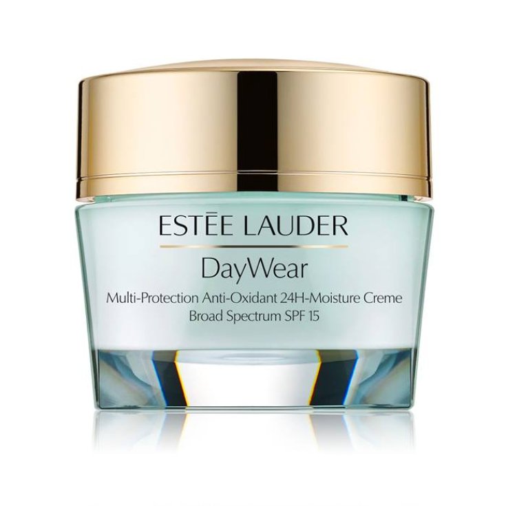 EL DAY WEAR PLUS LSF 15 PNM 50ML