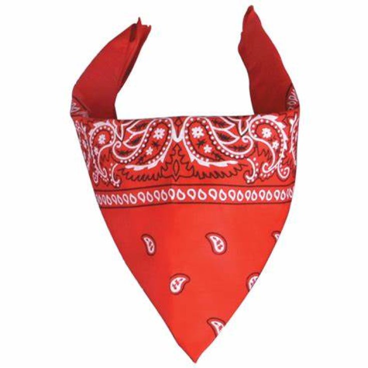 PM Bandana