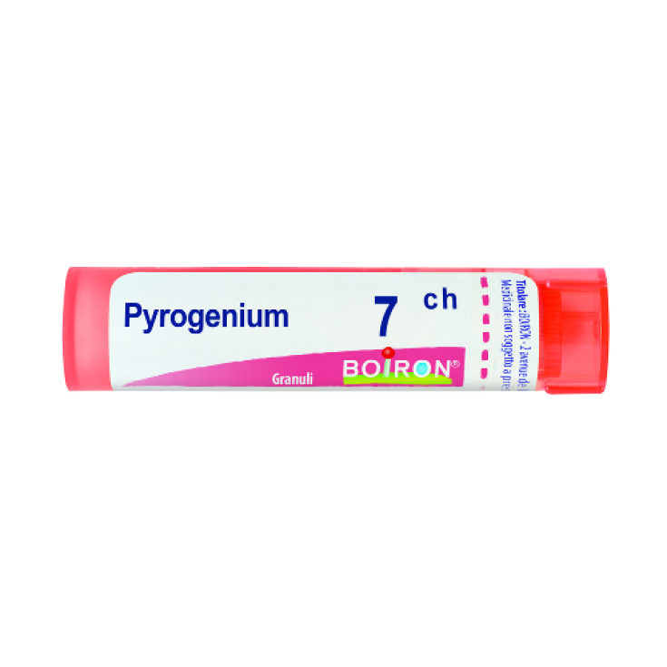 Laboratoires Boiron Pyrogenium 7ch Homöopathisches Mittel in Granulat