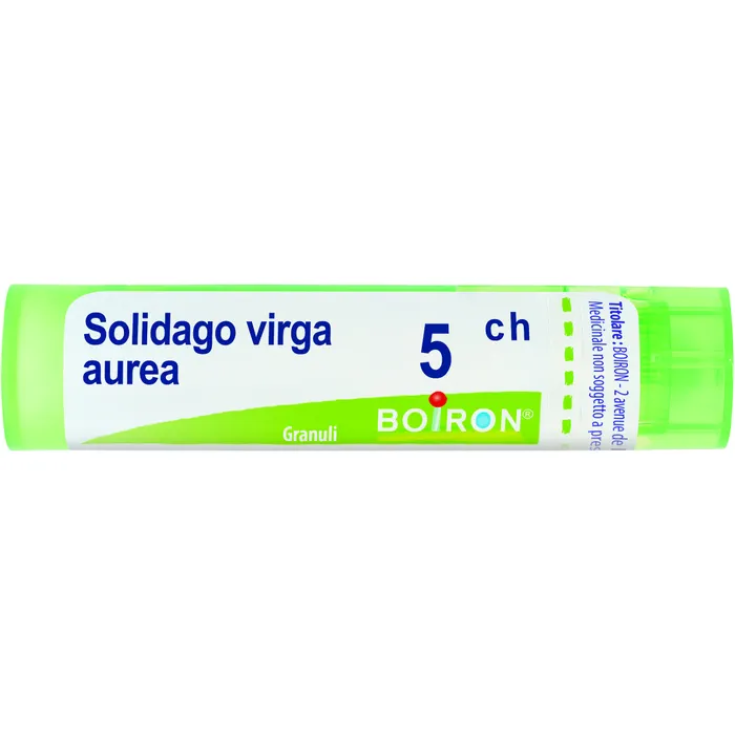 Solidago Virga Aurea 5ch Boiron Granulat 4g