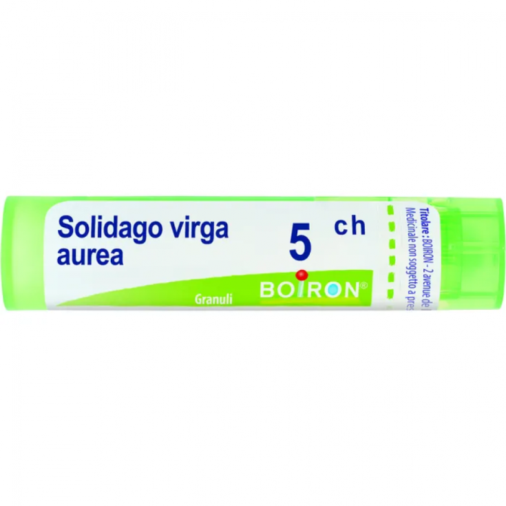 Solidago Virga Aurea 5ch Boiron Granulat 4g