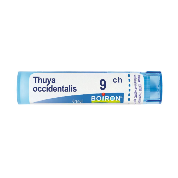 Laboratoires Boiron Thuya Occidentalis 9ch Homöopathisches Mittel in Granulat