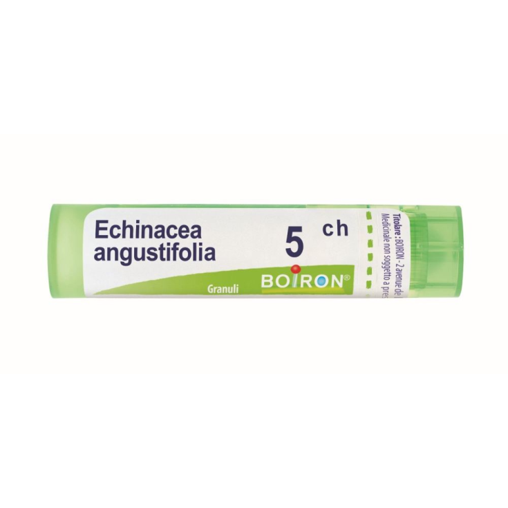 Boiron Echinacea Angustifolia 5ch Homöopathisches Granulat