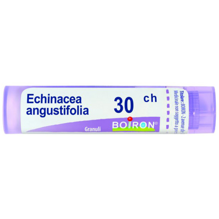 Boiron Echinacea Angustifolia 30ch Homöopathisches Granulat