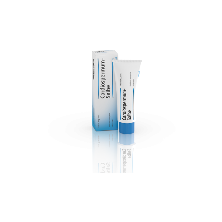 Cardiospermum Salbe Guna-Creme 50g